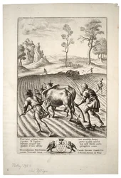 Der Pflüger. Zustand 2